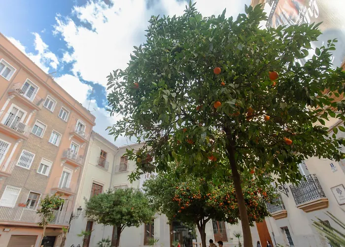 Vlc - Cisneros Valenza