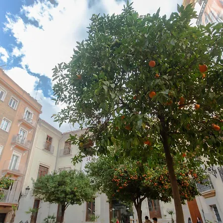 Vlc - Cisneros Valence