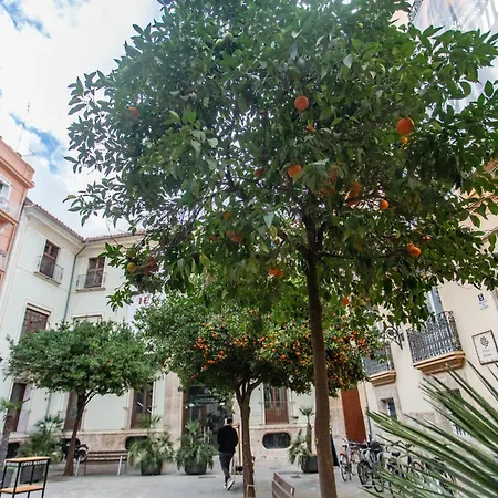 Vlc - Cisneros Apartamento Valência